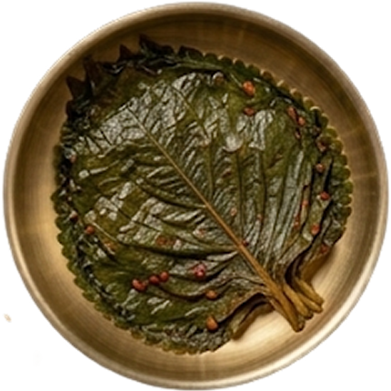 유월의 보리 반찬